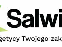 Salwis.pl
